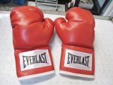 Everlast Boxing Gloves - con 757