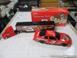 Dale Earnhart Taz 1:24 Scale Car con 795