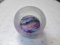 Glass Eye Studio - Plants Glass Paperweight - con 804