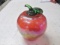 Glass Eye Studio - Hand Blown Apple - con 804