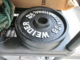 Weider Iron Weights - 2 Plates 22 Pounds Each - Will not be shipped - con 394