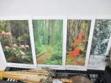 Set of  4 Art Pictures - Wa State - Ross Hamilton - Will not be shipped - con 394