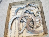 Horseshoes - con 666