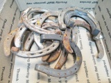 Horseshoes - con 666