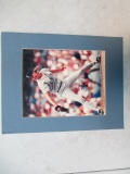 Randy Johnson Signed with COA - con 804
