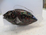 Signed Blown Glass Fish -- 6x10 - con 793