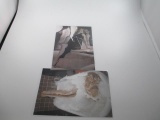 Marilyn Monroe Post Cards - con 346