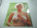 Topless Marilyn Monroe Photo Print - con 346