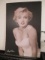 Marilyn Monroe Poster - con 317