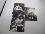 Collection of Nude Risque Post cards - con 346
