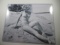 Rare Marilyn Monroe B/W Beach Photo - con 346