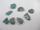 42.54 cts Royston Turquoise - con 754