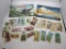 Vintage Brooke Bond Collectors Albums and Cards - 62-66 - con 875
