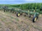 John Deere RM 12-30 Row Crop Cultivator