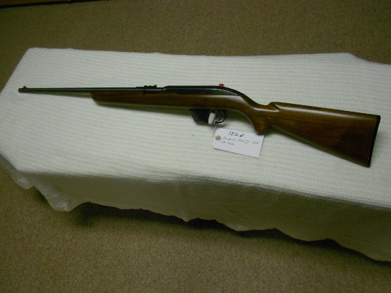 Winchester Model 77 22LR