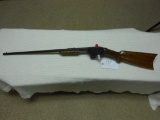 Savage ARMS 22LR