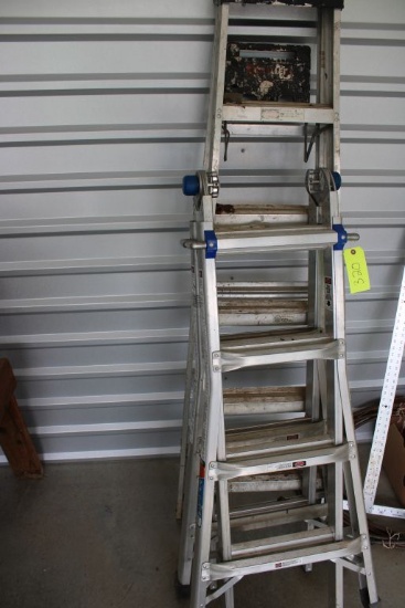 Step Ladder and Folding Ladder
