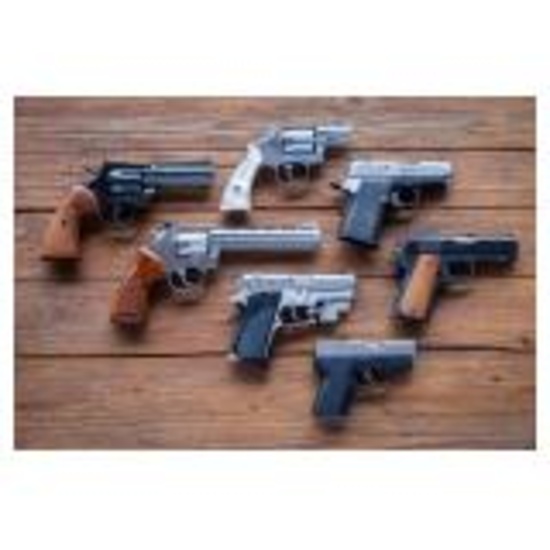 Elizabethton Tn Confiscated Firearms Auction