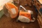 Gas powered saw