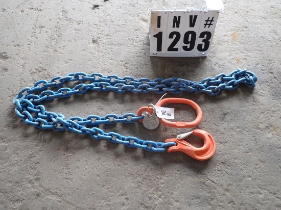 Lifting chain