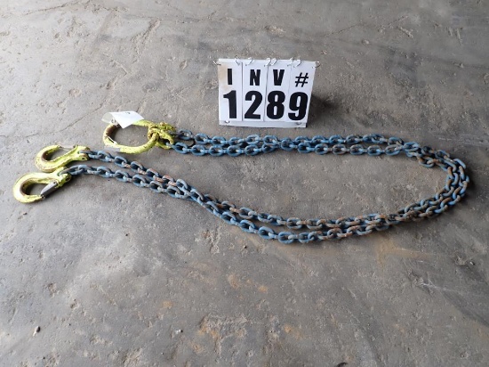 Lifting chain
