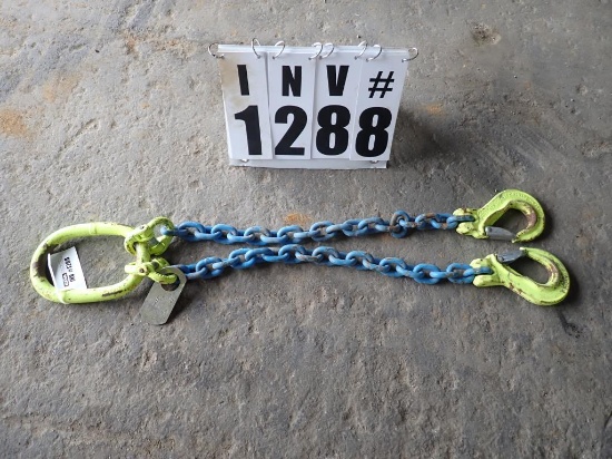 Lifting chain