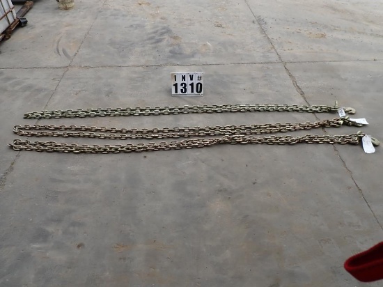 Lifting chain