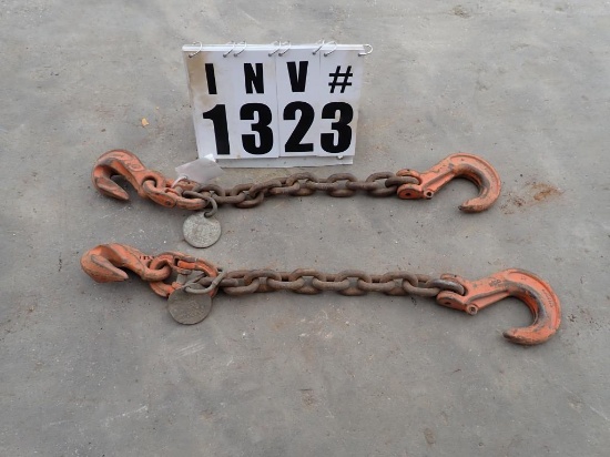 Lifting chain