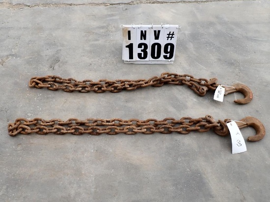 Lifting chain