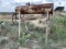 Tall Skidded Fuel Tank W/ Pump No help loading Location: Eldorado, Tx