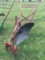 Oliver #222 Steal Beam Left Hand Plow, Jointer Gauge Wheel. No Shipping Available