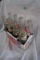 8 pack Pepsi 16 oz Bottles in Cardboard Carrier