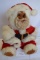 Raikes Santa Bear (4770/5000)*