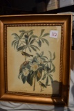 Ornate Frame Engraved Printed and Colored Birds and Flower