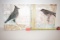 Bird Paintings (set of 2)