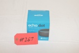 Echo Dot (Alexa)