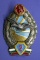 Rare Early Communist Bulgarian Parachutist Airborne Badge 2nd Class (A)