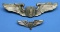 Two US Army Air Force Pilot Wings (PWS)