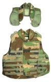 US Military Style Woodland Camouflage Point Blank Interceptor Ballistic Vest Plate Carrier (DLL)