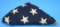 US Military WWII 48-Star Flag (RW)