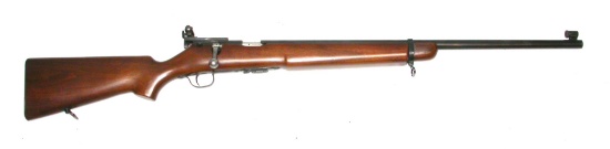 Savage Model 19 NRA 22LR Bolt Action Rifle FFL Required 49661 (SJX1)