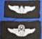 Two US Army Air Force Cloth Wings (A)