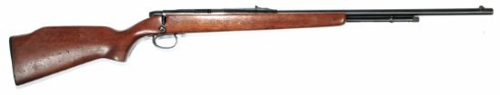 Remington Model 582 ,22 S,L,LR Bolt-Action Rifle - FFL #38214 (DHR 1)