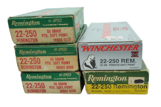 Remington .22-250 Lot of 100 Rounds (JGD)