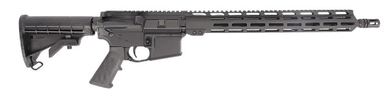 Delton DTI-15 AR15 5.56mm Semi Auto Rifle FFL #DTI-S178348 (RCT1)