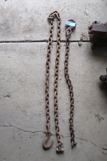 ASSORTED CHAINS AND HOOKS