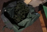 CHRISTMAS TREE IN BAG