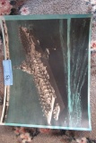 VINTAGE NAVY SHIP PICTURE