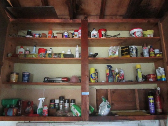 OILS, PAINTS AND ETC IN CABINET