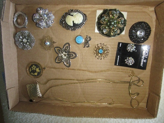 VARIETY OF PINS & NECKLACES